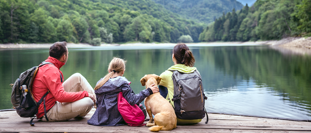 Mein Urlaub mit Hund - hier ist Ihr Hund willkommen !!!