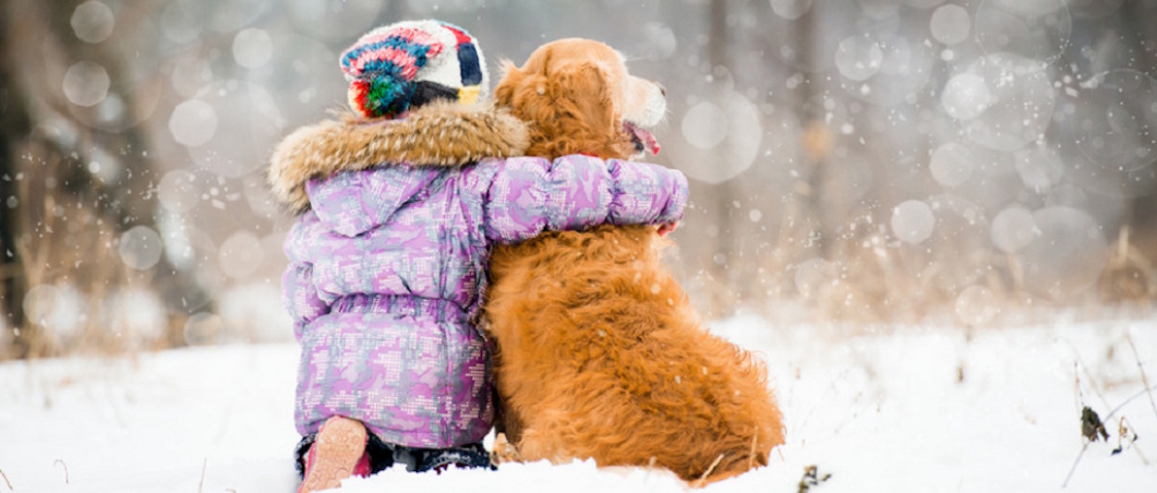 Mein Urlaub mit Hund - hier ist Ihr Hund willkommen !!!