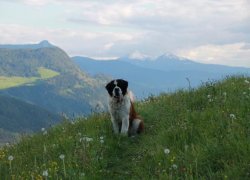  Bauernhof Ansitz Schloss Gravetsch