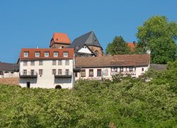  Burggarten Appartements Impressionen