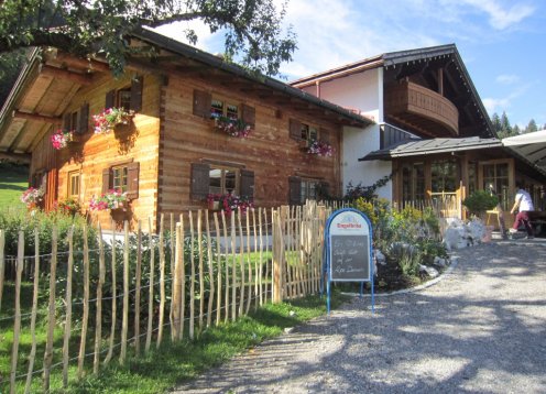 Alpe Dornach - 1000 Meter über dem Meer - Oberstorf mit Hund