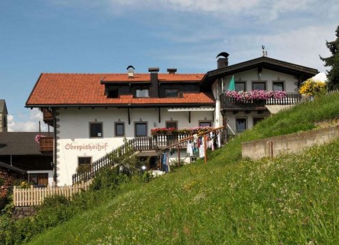 Oberpiskoihof in Villnöß in Südtirol mit Hund