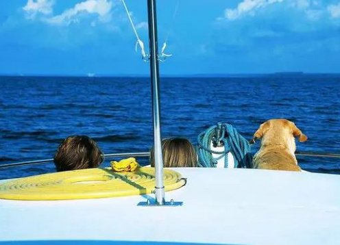 Hausbootreise mit Hund in Mecklenburg und an der Müritz