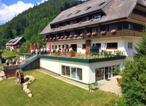 Land-gut-Hotel Großbach St. Blasien - Menzenschwand - Hund erlaubt
