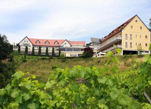 Hotel Garni am Seggauberg in Leibnitz in der Steiermark mit Hund