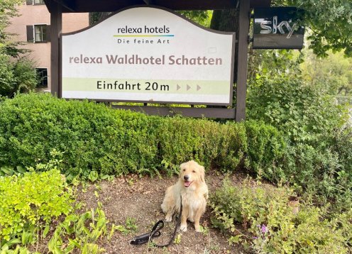 Relexa Waldhotel Schatten Stuttgart - Hund erlaubt