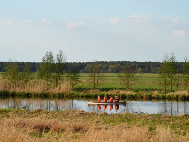 Urlaub mit Hund in Brandenburg