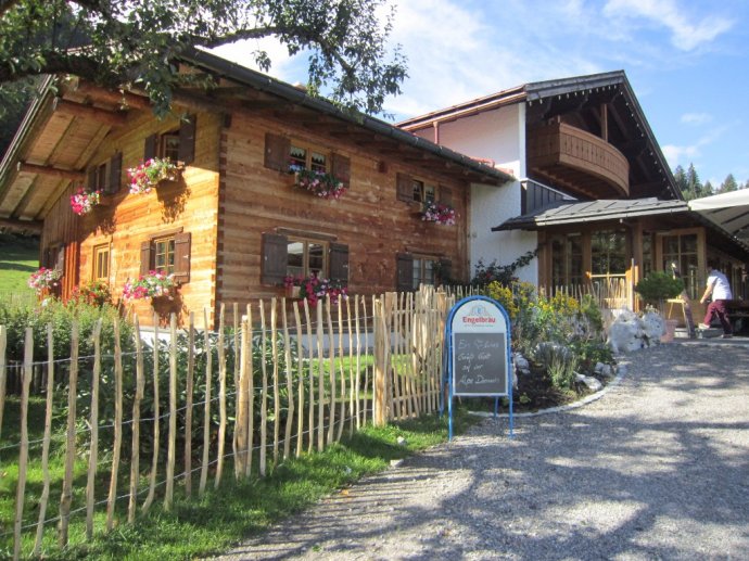 Alpe Dornach - 1000 Meter über dem Meer - Oberstorf mit Hund