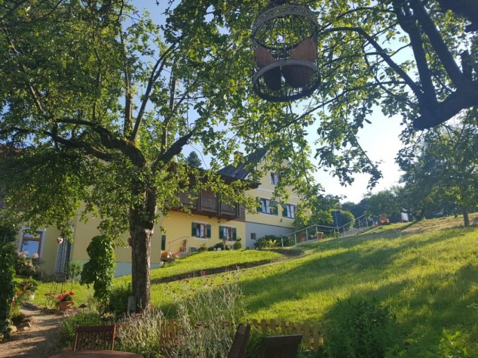 Mein Urlaub mit Hund Steiermark Landhaus FühlDichWohl