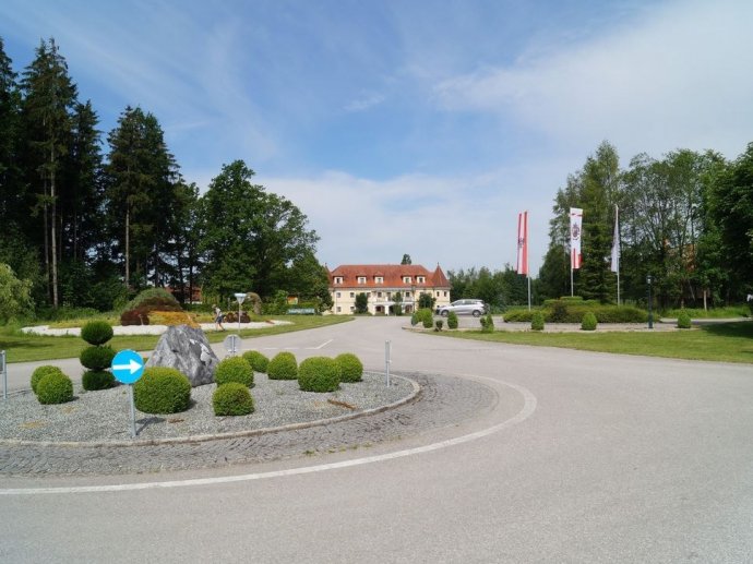 Mein Urlaub mit Hund Ferienwohnungen Ferienhäuser Hotels Camping