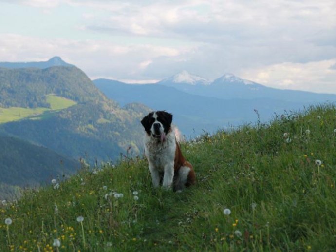 Ferienwohnungen auf dem Bauernhof Ansitz Schloss Gravetsch