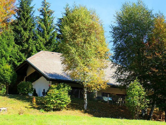Ferienhaus Amadeus in Todtmoos Schwarzwald Urlaub mit Hund